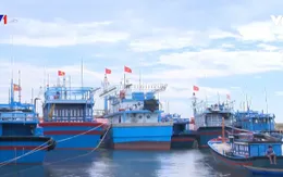 Tàu cá nằm bờ vì phân bổ hạn ngạch đánh bắt thủy sản