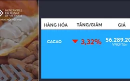 Giá cacao hợp đồng kỳ hạn tháng 9/2019 giảm mạnh