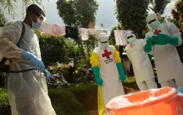 WHO tuyên bố dịch Ebola là vấn đề y tế khẩn cấp toàn cầu