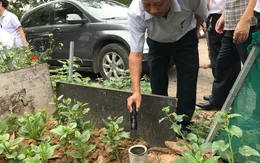 Hà Nội: Số ca mắc sốt xuất huyết tăng nhanh
