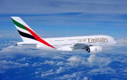 TP.HCM thông báo hành khách trên chuyến bay EK392 đi kiểm tra sức khỏe