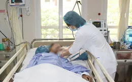 Quảng Ninh: Gia tăng bệnh nhân nhập viện do rắn cắn