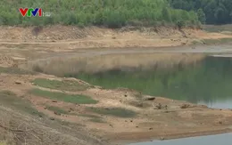 Hàng chục ngàn ha lúa ở Trung Bộ có nguy cơ thiếu nước