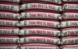 Xuất khẩu gạo Thái Lan sẽ giảm xuống mức thấp nhất 7 năm