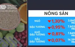Thị trường hàng hóa hầu hết giảm điểm nhẹ