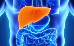 WHO kêu gọi các nước tăng đầu tư nhằm loại bỏ căn bệnh viêm gan