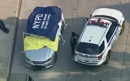 Đau lòng hai bé sinh đôi tử vong do bị bỏ quên trong xe hơi