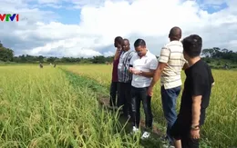 Doanh nghiệp Việt tìm kiếm cơ hội đầu tư ra nước ngoài