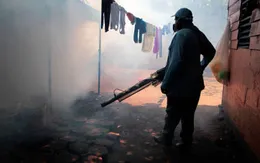 Guatemala ban bố báo động đỏ dịch sốt xuất huyết