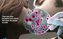 Hiểm họa từ những nụ hôn