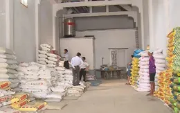 Nạn phân bón giả hoành hành tại ĐBSCL