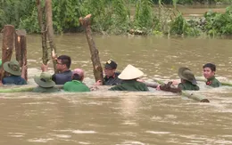 Hàng trăm người dầm mình dưới nước đắp đê bị vỡ để cứu lúa