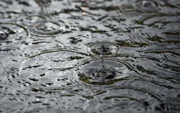 "Sốc" khi 90% nước mưa có chứa nhựa
