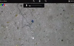 Phát hiện mảnh nhựa siêu nhỏ trong lõi băng Bắc Cực