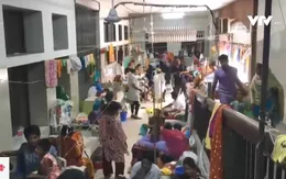 Sri Lanka và Bangladesh vật lộn với dịch sốt xuất huyết