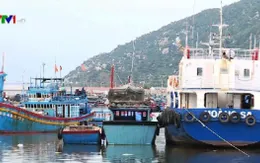 Nhiều tỉnh xin giãn nợ cho chủ tàu vỏ thép