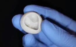 Sử dụng máy in 3D tạo ra các bộ phận chức năng của tim không có collagen