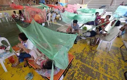 Số ca sốt xuất huyết tại Philippines tăng mạnh
