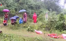 Đảm bảo thông tin liên lạc, giảm thiểu thiệt hại do hiện tượng thời tiết cực đoan