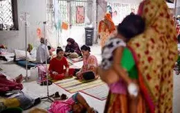 Báo động dịch sốt xuất huyết tại Bangladesh