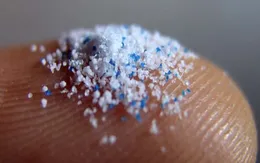 WHO kêu gọi đánh giá thêm về hạt nhựa siêu nhỏ