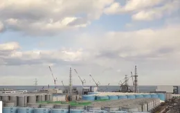 Nhật Bản chưa quyết định cụ thể về xử lý nước nhiễm xạ