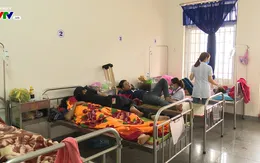 Phú Yên: Số ca mắc sốt xuất huyết tăng 5,6 lần