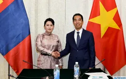 Tham khảo chính trị cấp Thứ trưởng Ngoại giao Việt Nam-Mông Cổ lần thứ 8