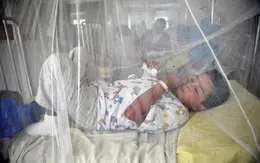 Dịch sốt xuất huyết lây lan mạnh tại Trung Mỹ