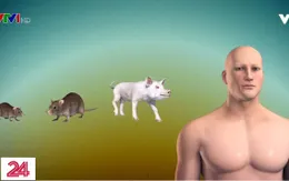 Tính khả thi và đạo đức của thử nghiệm liên quan đến bộ phận cơ thể người