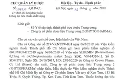 Đình chỉ lưu hành thuốc viên nén Sebemin