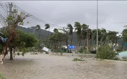 Gần 300.000 khách hàng bị cắt điện do ảnh hưởng bão số 3