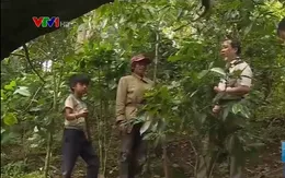 Giáo viên băng rừng, lội suối vận động học sinh đến lớp