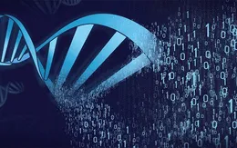 Israel lưu trữ thông tin dưới dạng mã ADN