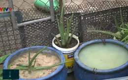 Đồng Nai: Nhiều người dân còn chủ quan với sốt xuất huyết