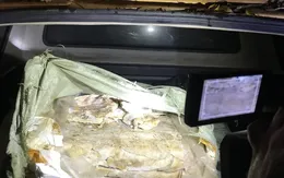 Thu giữ 400kg nầm lợn nhập lậu bốc mùi hôi thối