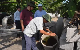 Bà Rịa - Vũng Tàu: 4 ca tử vong do sốt xuất huyết