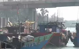 Nợ tiền đóng tàu cá, ngư dân bị ngân hàng kiện