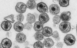 Trung Quốc chỉnh sửa gen chữa HIV, ung thư máu