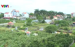 Lãnh đạo thôn tại Hưng Yên tự bán đất nghĩa trang để trục lợi