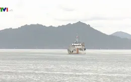 46 ngư dân Quảng Ngãi đã về bờ an toàn