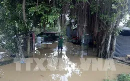 Thiệt hại hàng trăm tấn cá do thủy điện xả lũ tại Đồng Nai