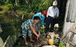 Sốt xuất huyết tăng 195% ở Tiền Giang