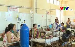 Số ca mắc sốt xuất huyết tăng hơn 13 lần ở Tây Nguyên