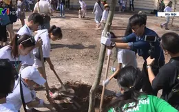 Khởi động chiến dịch "Phủ xanh Việt Nam"