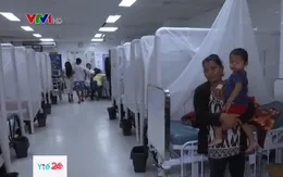 Bùng phát dịch sốt xuất huyết tại Honduras