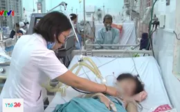 Nhiều người nhập viện do ong vò vẽ đốt