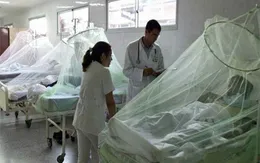 Honduras đối mặt với dịch sốt xuất huyết nguy hiểm nhất trong 10 năm qua