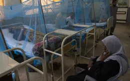 Bùng phát dịch sốt xuất huyết tại Pakistan, 20 người thiệt mạng