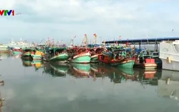 Bà Rịa - Vũng Tàu thực hiện chống khai thác thủy sản trái phép